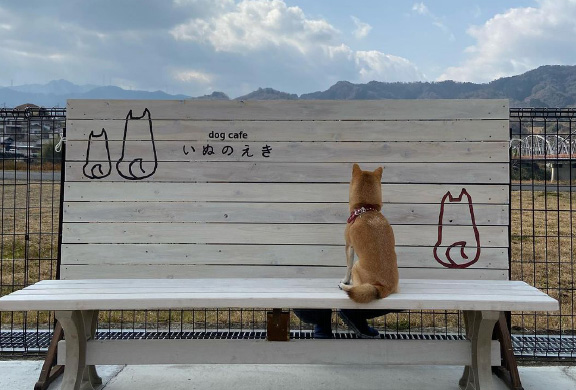 Dog Caféいぬのえき